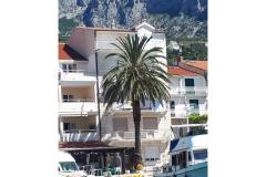 Palm tree apartman Apartament 1 – Palm tree foto 1