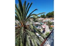 Palm tree apartman Apartament 2 – Palma foto 1