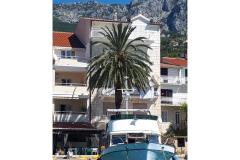 Palm tree apartman Apartament 2 – Palma foto 2