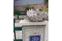 Rako Apartamenty Marilka Apartament 3 – APARTMAN 2 foto 1
