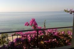 Apartamenty Jure Apartament 2 – apartman1 foto 1