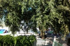 Apartamenty 10 metara od mora Apartament 3 – Ap.3 foto 1