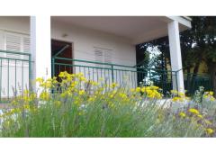 Apartamenty vila Diana Apartament 1 – apartman M foto 2