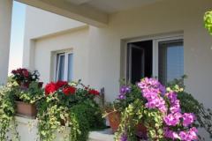 Apartamenty 255 Apartament 2 – STUDIO foto 1