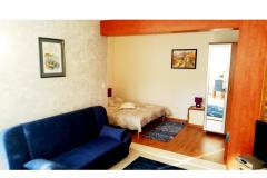  Rajcic apartmani Apartament 3 – studio2+1 foto 2
