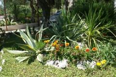 Santa Chiara Apartamenty Apartament 4 – apartman 4 foto 5