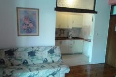 Vila Salvia Apartament 1 – Apart.101 foto 3