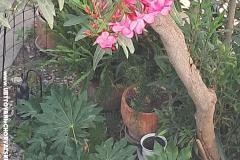 1918 Apartament centar Šibenik Apartament 1 – 1918 apart foto 2