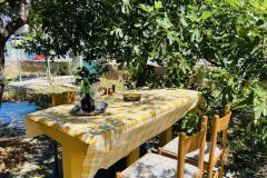 Beach Dom Apartament 1 – GARDEN foto 3