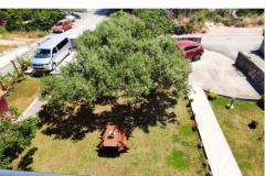 Apartamenty Villa Magnolija Apartament 3 – apartman 3 foto 4