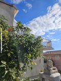 Villa Aura Maris Apartament 1 – Aura Maris foto 5