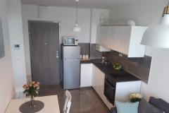 Apartament ENI Apartament 1 – ENI foto 2