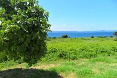 Summerhouse Belomo Apartament 1 – Belomo foto 3