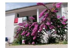 Apartamenty Ive Pokój 5: (2+1) – br5 foto 4