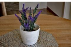 Apartamenty Brksi  Apartament 2 – AP2 foto 1