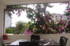 Apartamenty Malic Apartament 1 foto 3