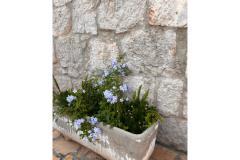 Apartamenty Tri palme Apartament 2 – apartman 3 foto 4