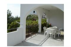 Apartamenty Neda Apartament 1 – A1 foto 2