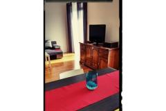 Lu-Do Apartamenty Apartament 1 – One foto 5