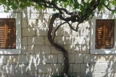 Stara kuća Apartament 1 – Stara kuća foto 2