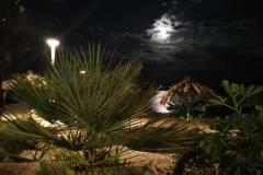 Villa Kairos Pokoj 7 – TR-301 foto 1