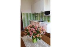 Apartamenty Branko Vidaković Apartament 4: (2+0) – Apartman 4 foto 4