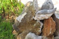 Apartamenty ENA Apartament 1 – A2 foto 4