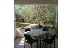 Apartamenty Galius Ugljan Apartament 1 – Galius A1 foto 3