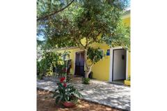 Apartamenty Galius Ugljan Apartament 1: (2+1) – Galius A1 foto 5