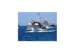 Apartament Matija Apartament 1 – Matija foto 3