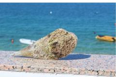 Apartamenty Por Apartament 2 – Dvosobni foto 2