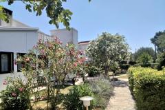 Apartamenty Budija / Lavanda Apartament 1: (2+1) – Lavanda 1 foto 2