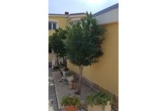 Ferienanlage Villa Ljiljana Apartament 2: (2+2) – Bungalow foto 2
