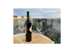 Apartamenty Jabuka Apartament 1 – app2 foto 2