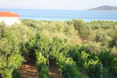 Antonela  Apartament 4 – Seaview D foto 4