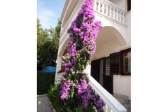 Vila Lana Apartament 1 foto 2