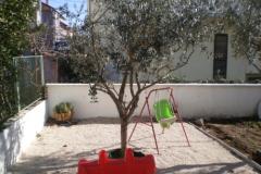 Apartamenty Mirela Apartament 2 – Ap1 foto 5