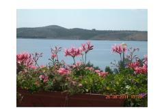 Apartamenty Lora Apartament 2 – A2 foto 1