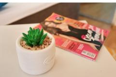 Apartamenty Zadar Dom Apartament 4 – Apartment4 foto 5