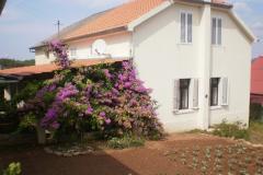 Dom Branka Apartament 1 – Kuća foto 1