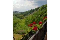 Apartamenty Potočki Apartament 1 – Apartman 1 foto 1