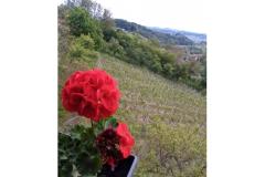 Apartamenty Potočki Apartament 2 – Apartman 2 foto 1