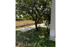 Apartamenty Ana Ercegović  Apartament 1 – Apartman 1 foto 2