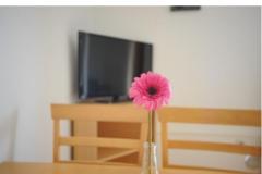 Appartement Graf Apartament 3 – Ap 2+3 foto 4
