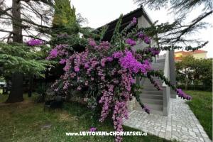 Flowers Apartment Medulin, Fucane 2 – Medulin