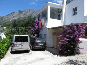 Apartamenty Delfin