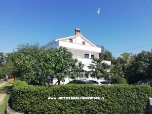 Apartamenty Otok Krk - Malinska