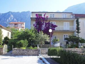 Apartamenty IVO