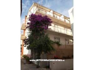 Apartamenty Zuban