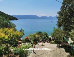 Apartamenty Maja